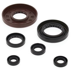 Honda TRX500FE Engine Oil Seal Kit - Vertex Pistons - `05-`11